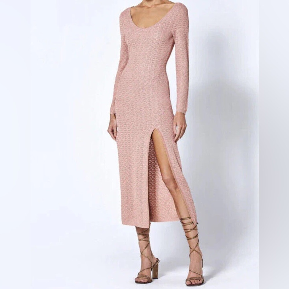 NWT Alexis Dress size XS